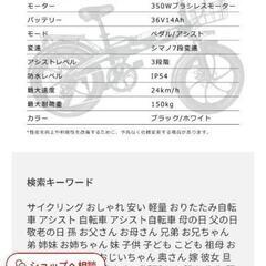 電動アシスト自転車　fryfishの画像