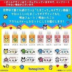 明治＆たまごっちコラボ コンプリートセット 定価6800円の画像