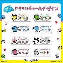 明治＆たまごっちコラボ コンプリートセット 定価6800円の画像