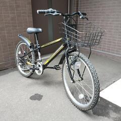 22インチ 子供用自転車
