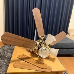 シーリングファンライト