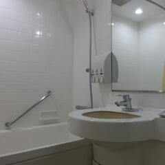 ディズニーランドまで好アクセス！浦安ビューフォートホテル7/19〜20の画像