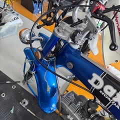 ダックスの画像