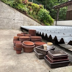 植木、盆栽鉢　　残り約60鉢位いになりました