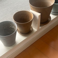 Amabro等　鉢植え　プランター