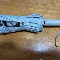大きい折りたたみ日傘(直径105cm) 開閉ボタン付き　ライトミ...