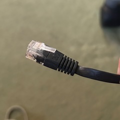 LANケーブル　cat6 約15mの画像