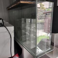 60センチ　ガラス水槽