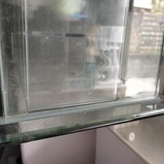 60センチ　ガラス水槽の画像