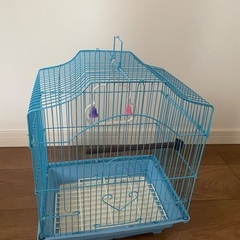 【未使用】鳥カゴ　バードケージ　ブルーの画像