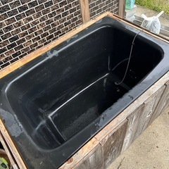 メダカ飼育水槽