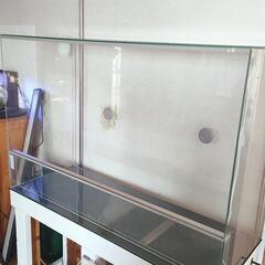 【観葉植物関連】エーハイム120レプタイルケージの画像