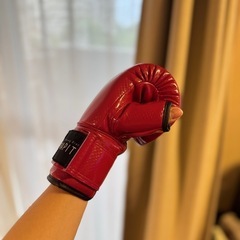 ★美品★ボクササイズジム用グローブの画像