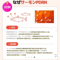 コスノリ PDRN セラムの画像