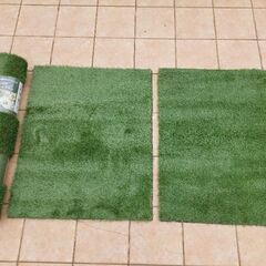 人工芝　ノヴァリア　芝丈3.5㎝　1x2m　おまけ付きの画像