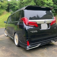 値下げ‼️30系アルファード💫エグゼクティブラウンジの画像