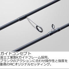 釣竿　チニングロッド ブラックポーギーの画像