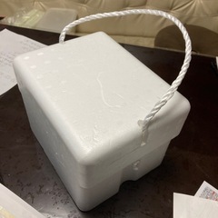 美品　暑さ対策や釣りなどに　保冷箱