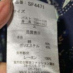 28~柄が好きで！３Lの画像