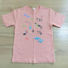 子供服120(2枚)