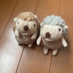 ハリネズミ　ぬいぐるみの画像