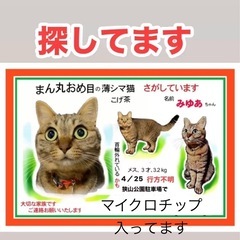 情報を下さい🙇 2025年４/25 東京都東大和市　狭山公園駐車...