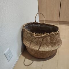 カゴ
