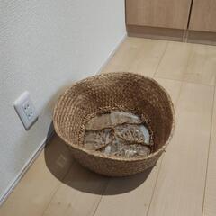 ⑤カゴの画像