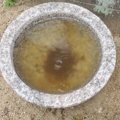 石臼､石うす､いしうす、めだか、メダカ