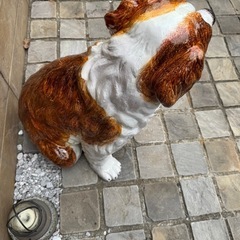 セントバーナード犬の画像