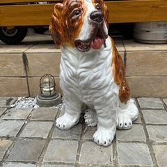 セントバーナード犬の画像