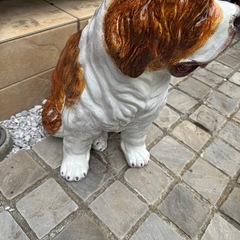 セントバーナード犬の画像
