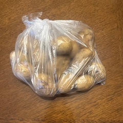 お早い方に！掘りたてじゃがいも約1kg