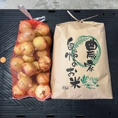 令和6年産コシヒカリ玄米10Kg、新玉ねぎ