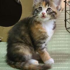 決まりました！✨