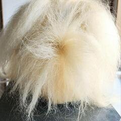 化け猫のかつらの画像