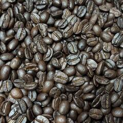 【Kaz Coffee】量子水で丁寧に洗ってから焙煎している、自...