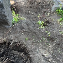庭の黒土差し上げます！
の画像