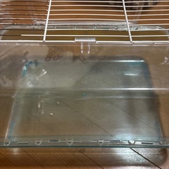 ハムスター飼育セットの画像
