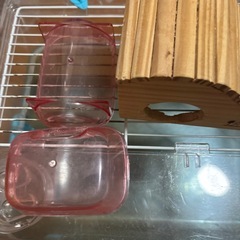 ハムスター飼育セットの画像