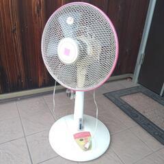 お話し中 扇風機ピンク