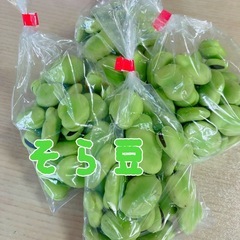 そら豆200g