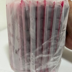 サンミ　　　冷凍赤虫１０枚の画像