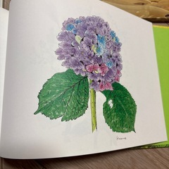 絵が綺麗な絵本4冊の画像