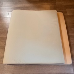 【10日午前中まで！】トゥルースリーパー【説明をお読みください】
