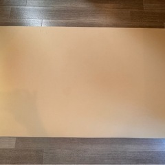 【10日午前中まで！】トゥルースリーパー【説明をお読みください】の画像