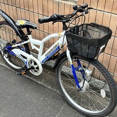 24インチAMERICAN eagle子供用自転車