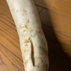 おろし大根がオススメ！生産者が言ってました