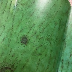 絵本　14ひきシリーズ　3冊セットの画像