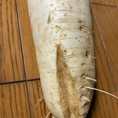 難あり！大根おろしがオススメ！生産者が言ってました